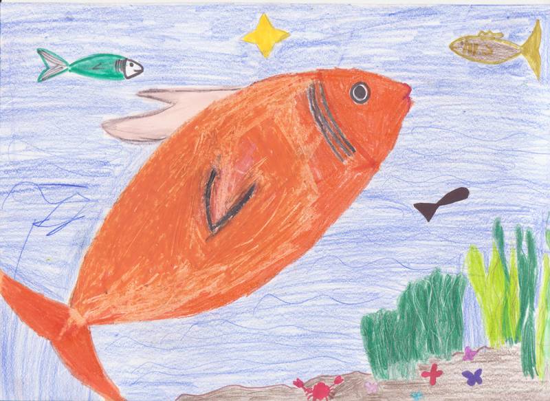 Oláh eszter. 5.o, halastó 001.jpg