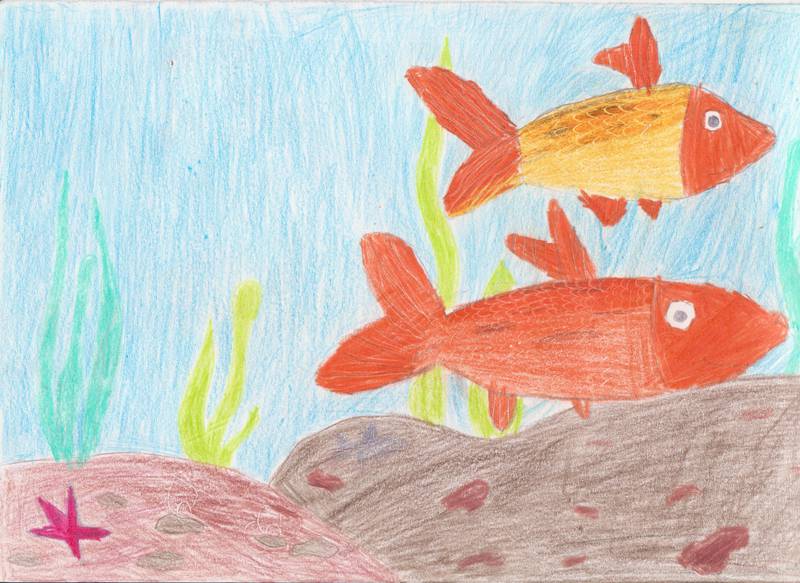 kántor boglárka 10 éves 4.o tapolca- halak a malom tóba 001.jpg